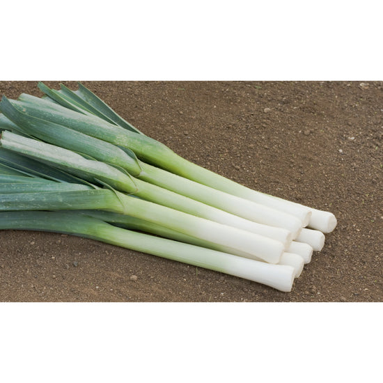 Image Title LEEK; Hilari